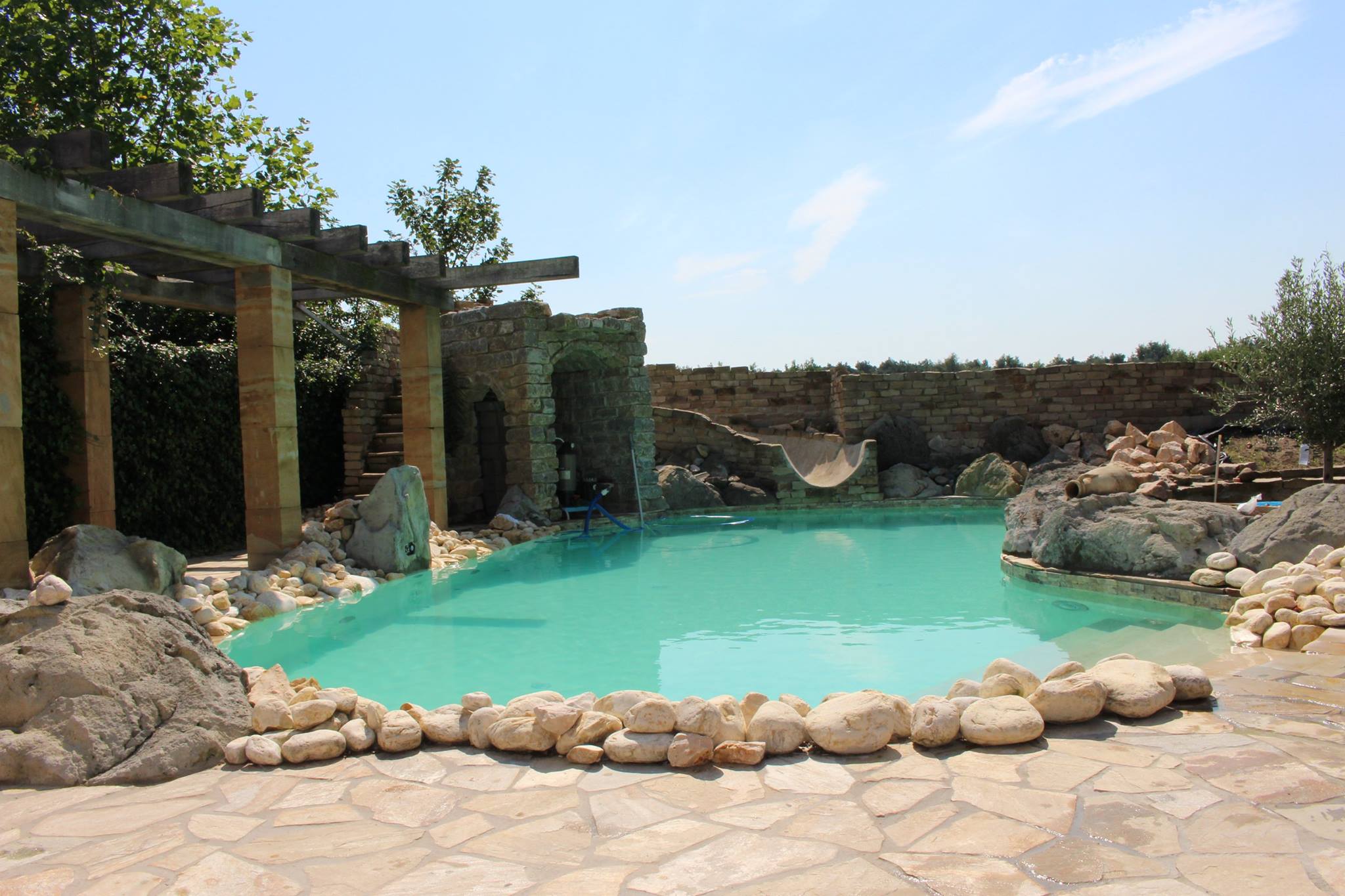 friendlydolphin-swimmingpool